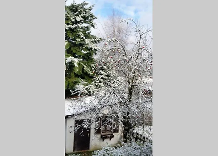 Haid Tatil Evi Presseck
